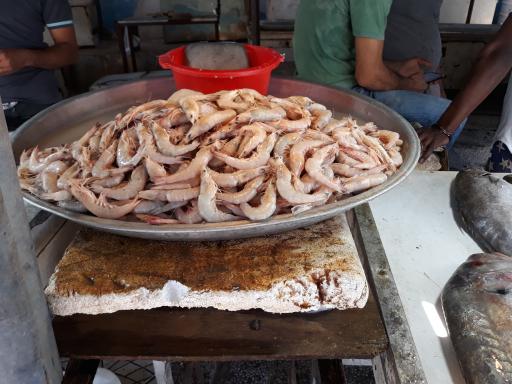 عکس بازار موقت ماهی فروشان