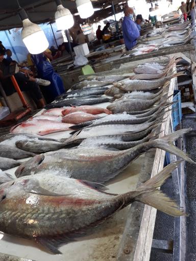 عکس بازار موقت ماهی فروشان