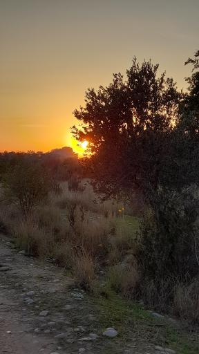 عکس پارک جنگلی لادن