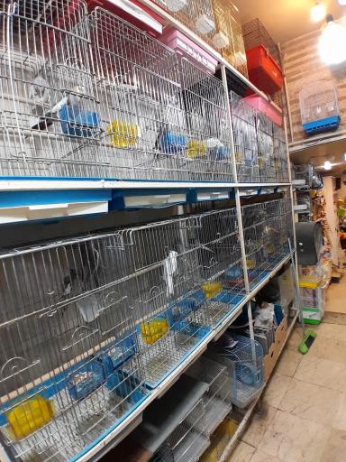 عکس پرنده سرای ماکائو