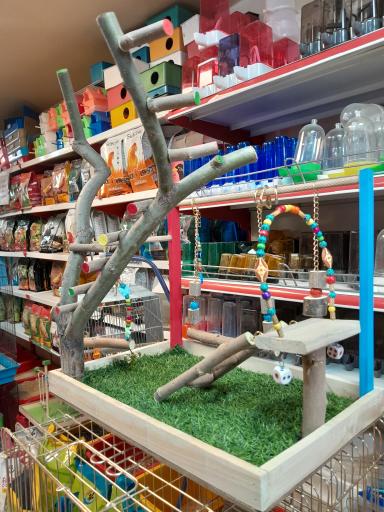 عکس پرنده سرای ماکائو