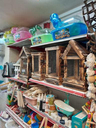 عکس پرنده سرای ماکائو