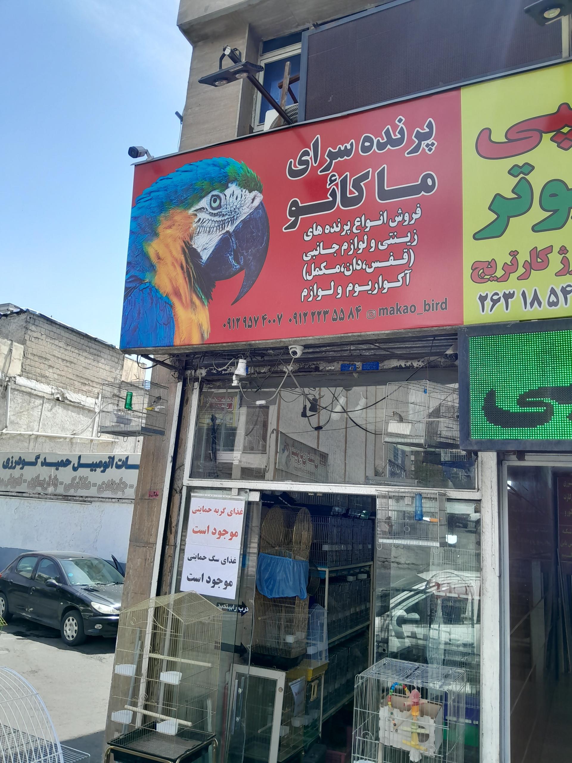 عکس پرنده سرای ماکائو