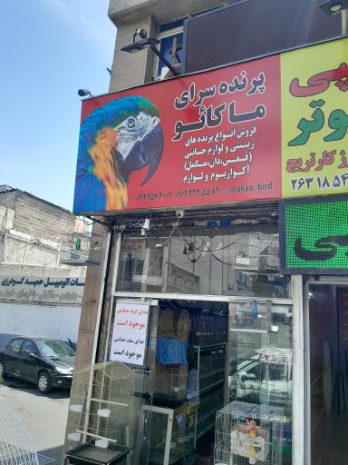 عکس پرنده سرای ماکائو