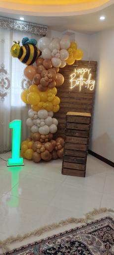 عکس تشریفات دنیای شادی