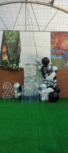 عکس تشریفات دنیای شادی