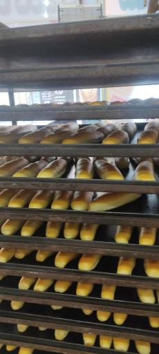 عکس نان فانتزی صمد شیرازی 