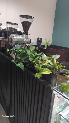 عکس کافی شاپ آیرون