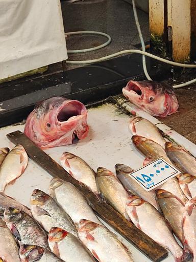 عکس بازار سنتی رشت