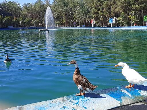 عکس دریاچه تفریحی پارک آهنشهر
