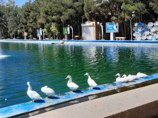 عکس دریاچه تفریحی پارک آهنشهر