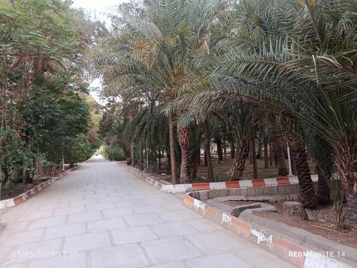 عکس دریاچه تفریحی پارک آهنشهر