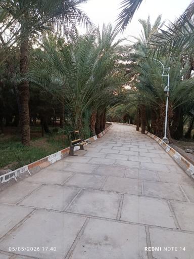 عکس دریاچه تفریحی پارک آهنشهر