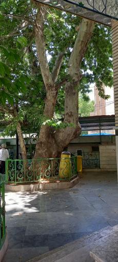 عکس امامزاده شمس الدین محمد