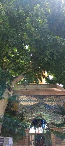 عکس امامزاده شمس الدین محمد