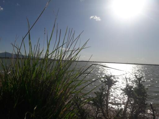 عکس سد چپقلو 