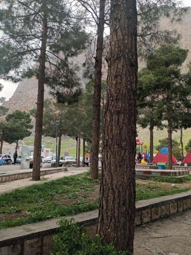 عکس کوه بیستون