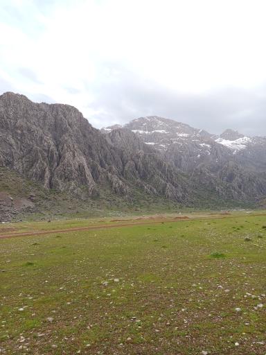 عکس کوه بیستون