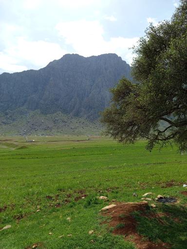 عکس کوه بیستون