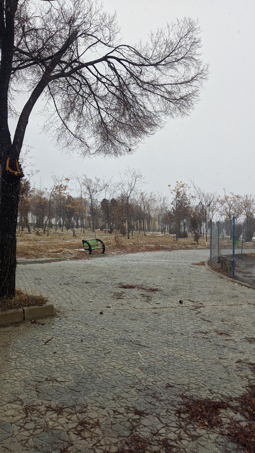 عکس پارک شقایق