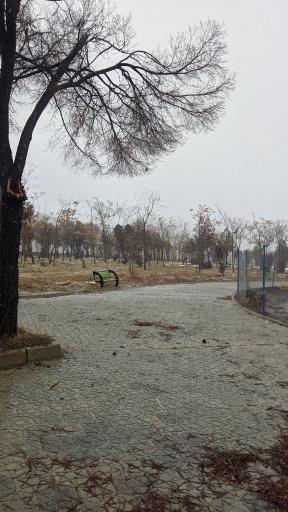 عکس پارک شقایق