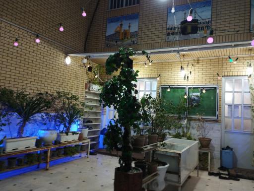 عکس مسجد النبی (ص)