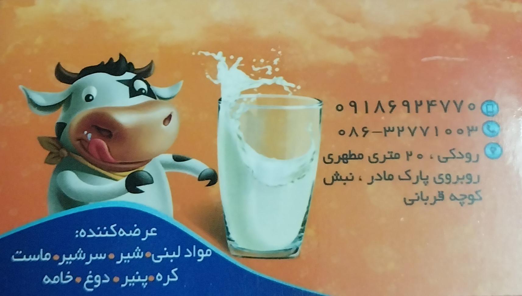 عکس لبنیات سلامت رضایی