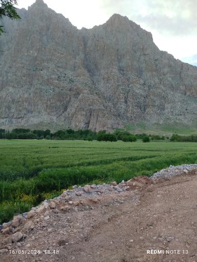 عکس کوه بیستون