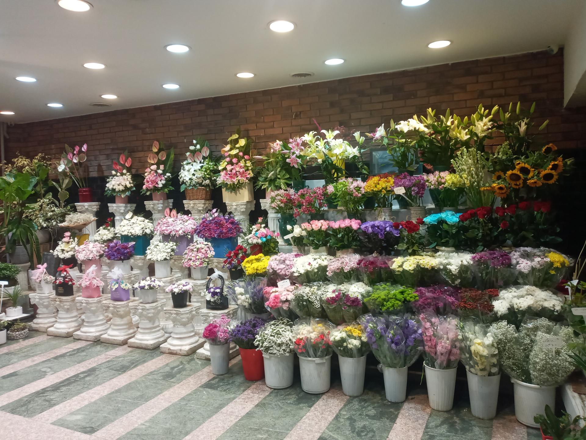 عکس گلفروشی ستیا