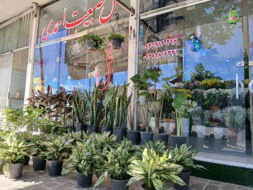 عکس گل فروشی طبیعت
