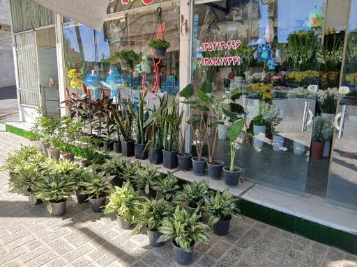 عکس گل فروشی طبیعت