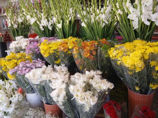 عکس گل فروشی طبیعت
