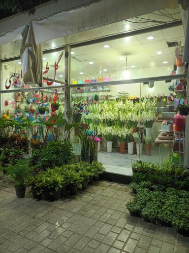 عکس گل فروشی طبیعت