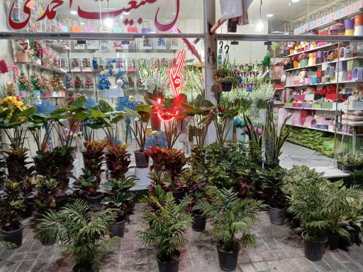 عکس گل فروشی طبیعت