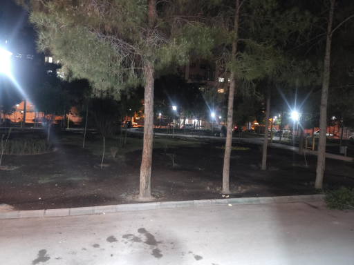 عکس فضای سبز شمشاد