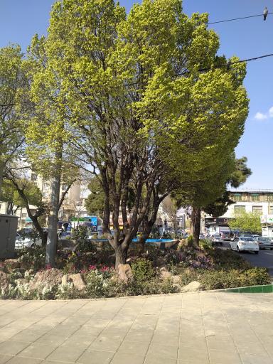 عکس میدان ملت