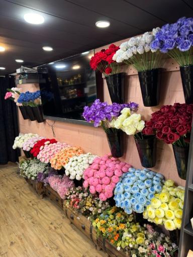 عکس تشریفات عروس مهدی