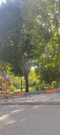 عکس پارک بانوان