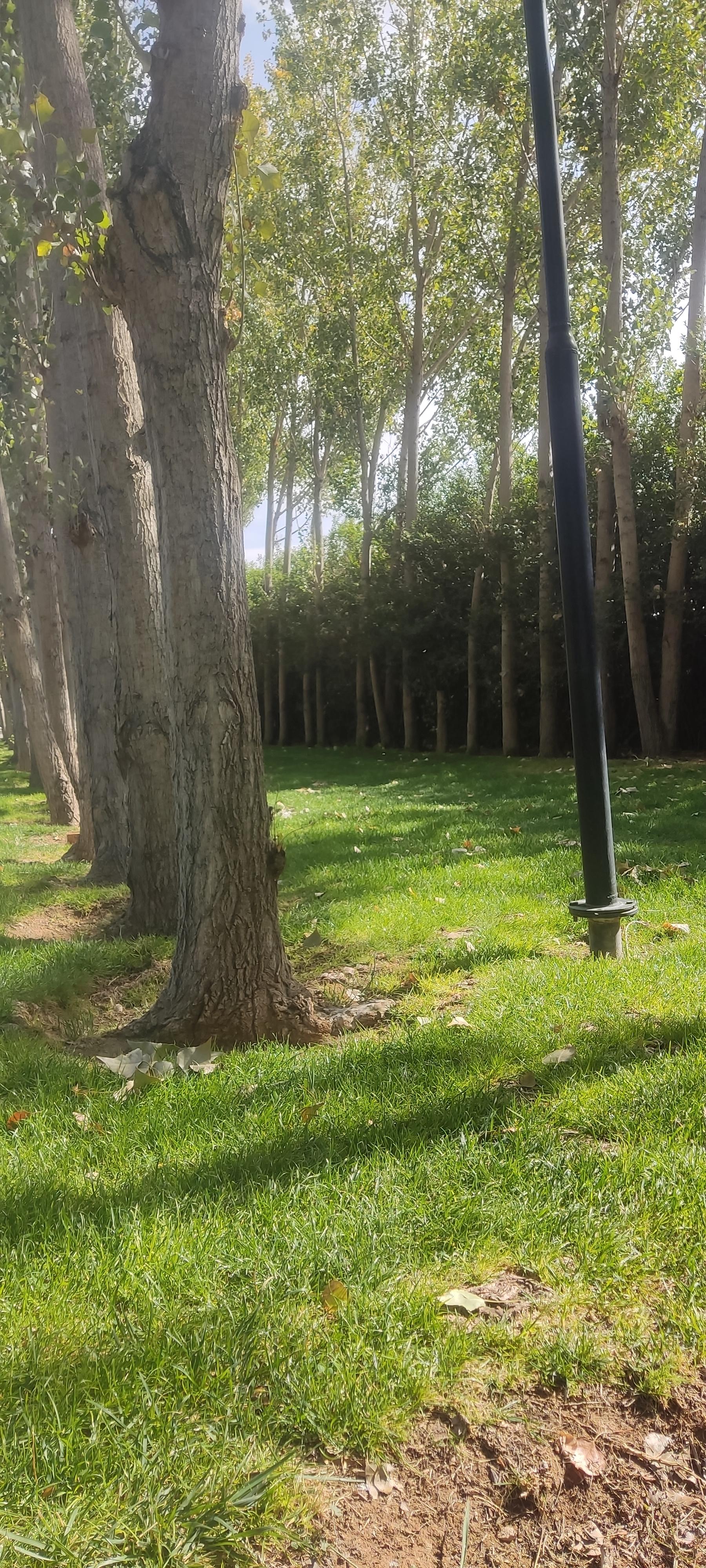 عکس پارک بانوان