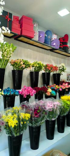 عکس گل مادر