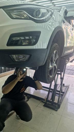 تشخیص رنگ و فنی تیموری (مشهدی)