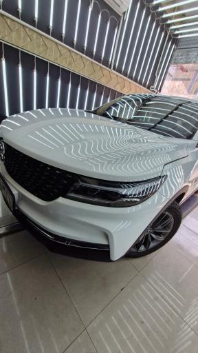 تشخیص رنگ و فنی تیموری (مشهدی)