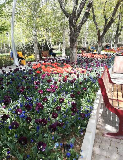 عکس پارک لاله