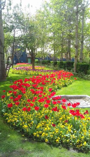 عکس پارک لاله