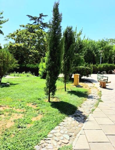 عکس پارک لاله