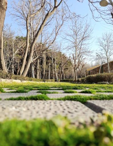 عکس پارک لاله