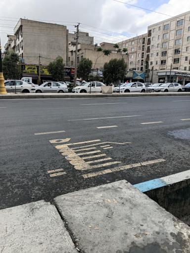 عکس شاهد