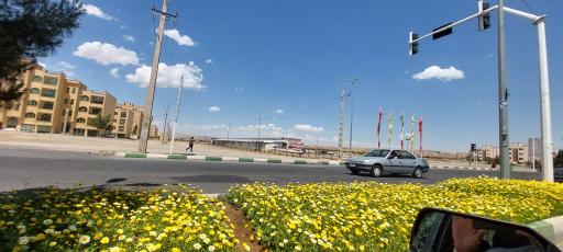 عکس بازاربزرگ همشهری 17