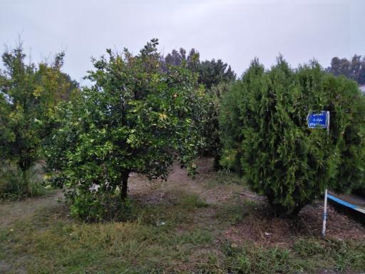 عکس مجتمع تفریحی شهید بیات غیاثی