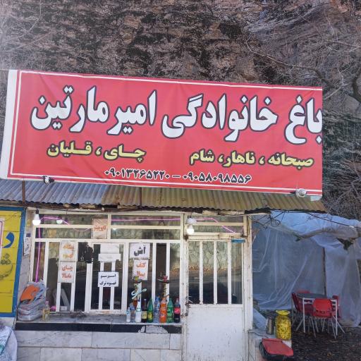 عکس باغ رستوران امیر مارتین